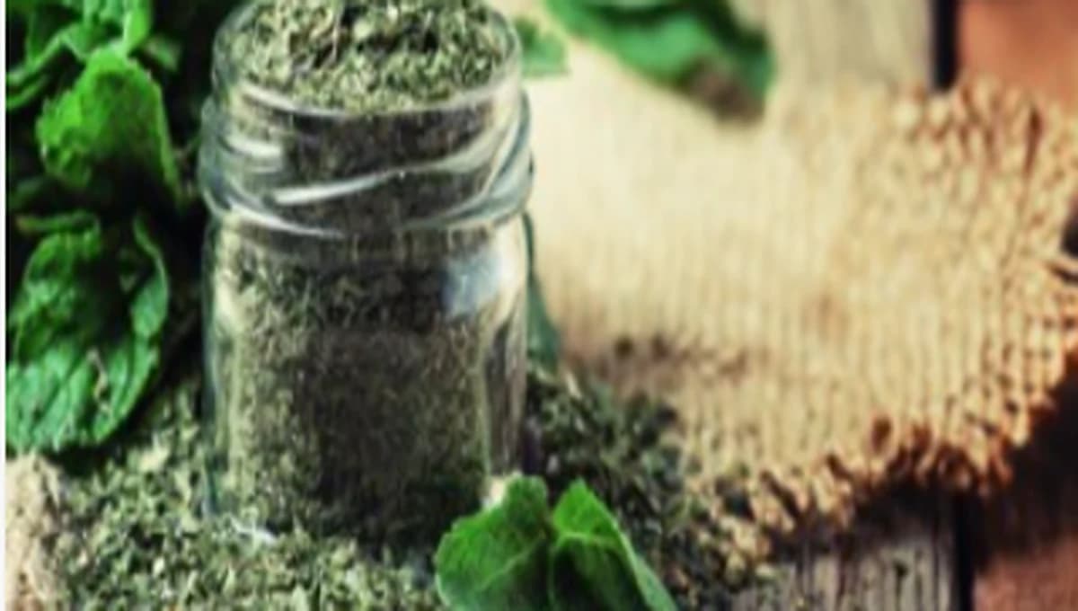 Mint Powder / Flakes